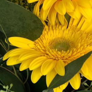 Meet your Posher, Eileen